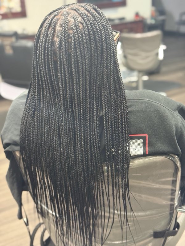 Long box braids styled down the back